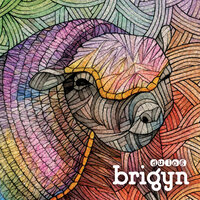 Quincho - Brigyn