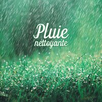 L'équilibre de l'esprit - Nature Académie