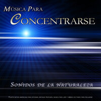 Sonidos de jardín zen para estudiar - Música de flauta suave - Musica para Concentrarse & Fondo de la lectura & Música para Leer