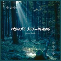 7 Chakras with Evening Forest Ambient - Everlight & Phillip Woods & Majestic Nova