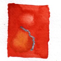Cracked World View - Willie Wisely