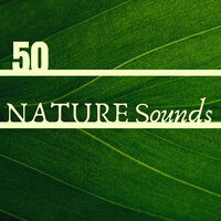 On the Seashore - Deep Zen Ambient