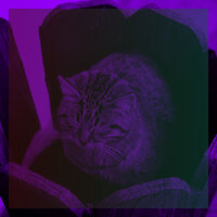 Mind-blowing Ambiance for Comfy Cats - Calm Cat Music