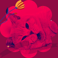 Background for Home Cats - Music for Resting Cats