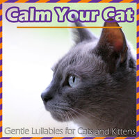 Purrfect Peace - Relax My Cat & Cat Music Dreams & RelaxMyCat