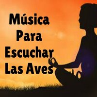 Nubes Blancas - Sonidos suaves