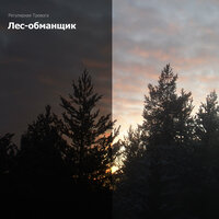 Карнавал - Регулярная Тревога