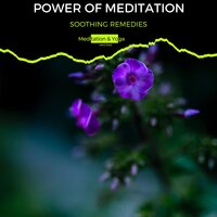 Divine & Pleasurous - Relaxing Spa Sessions