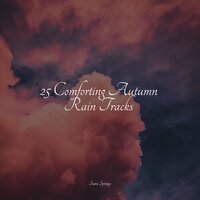 Croaking Creeks - Weather Sounds & Nature Sound Series & Ambient Nature Project