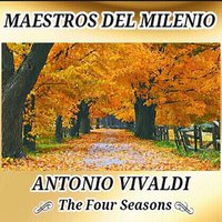 Concerto No. 4 in F Minor, Op. 8, RV. 297, "Winter": III. Allegro - Антонио Вивальди & Musici di San Marco
