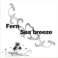 Sea Breeze - Fern