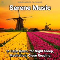 Serene Music, Pt. 19 - Relaxing Music by Darius Alire & Yoga & Relaxing music