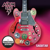 The Squeeze - Alvin Lee