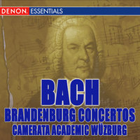 Concerto No. 4 in G Major, BWV1049, I. Allegro - Camerata Academica Wurzburg & Johann Sebastian Bach