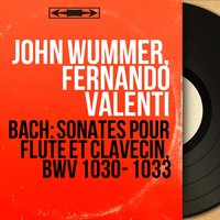 Sonata for Flute and Harpsichord in E-Flat Major, BWV 1031: III. Allegro - John Wummer & Johann Sebastian Bach