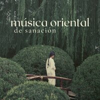 Terapias Alternativas - Musica Oriental Ensemble