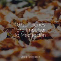 Pensativo - Música a Relajarse & Musica Relajante New Age Culture & Musica Para Meditación Profunda