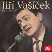 Má s tátou kříž - Jiří Vašíček