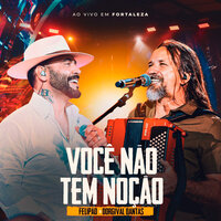 Você Não Tem Noção - Felipão & Dorgival Dantas