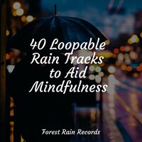Crackling Campfire - Namaste Yoga & Nature Recordings & Rain Sounds Nature Collection