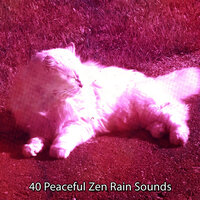 Знание в шторм - Meditation Rain Sounds