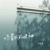 你看我的眼神 - 苏星婕