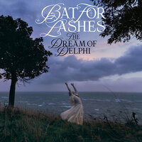 Home - Bat For Lashes