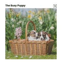 Carefree - RelaxMyDog