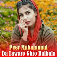 Ta Che Shaway pana Pa toro garo kana - Peer Muhammad