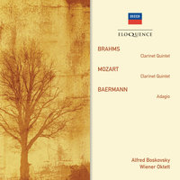  Clarinet Quintet in B minor, Op.115 - 3. Andantino - Presto non assai, ma con sentimento - Alfred Boskovsky & Members of the Wiener Oktett & Иоганнес Брамс