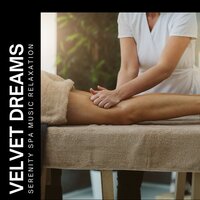 Echoing Canyon Winds - Serenity Spa Music Relaxation