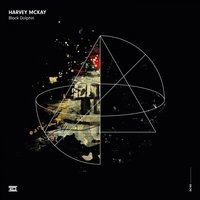Black Dolphin - Harvey McKay