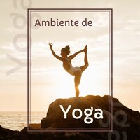 Chakras y Auras - Paula con Aroma