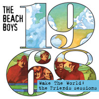 Transcendental Meditation - The Beach Boys