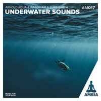 Balloonfish - Elias Earth & Arnold Aqua & Ambia Music