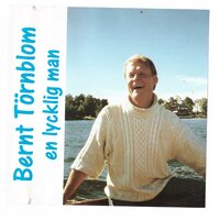 Du och jag och Nils Ferlin - Bernt Törnblom