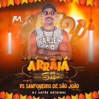 Arraiá do Dj Sapão Vs Sanfoneiro de São João - DJ SAPÃO ORIGINAL