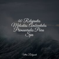 Calor De Verano - Musica relajante con sonidos de la naturaleza & Fabricantes De Lluvia & Musica Para Dormir
