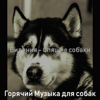 Впечатление (Собаки) - Горячий Музыка для собак