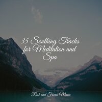 Ambience Moment - Buddhist Meditation Music Set & Yoga & Kings of Nature