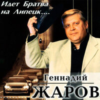Свидетельница ночь - Геннадий Жаров