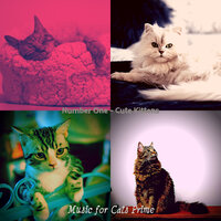 Feelings (Relaxing Cats) - Music for Cats Prime