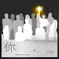 你 - 王天戈