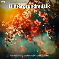 Klangspektrum für Meditation - Entspannungsmusik zum Einschlafen und Relaxen & Schlafmusik & Entspannungsmusik
