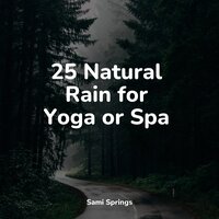 Wet Glass Rains - Naturaleza Relajacion & 125 Nature Sounds & Lightning