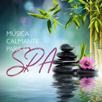 Floresta Tropical - Relaxantes Natureza Zona