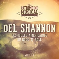 Little Town Flirt - Del Shannon