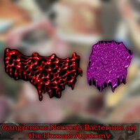 Gangrenous Necrosis Bacterium on the Human Anatomy - Degenerates Boiled Alive In Raw Human Faeces