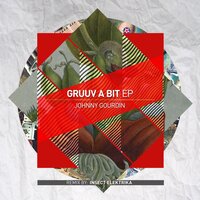 Happy Bordel - Johnny Gourdin & Insect Elektrika