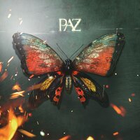 Ta peau - PAZ